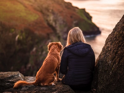白天，一个穿着黑色夹克的女人坐在靠近水体的岩石上的棕色狗旁边